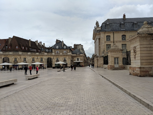 Pédicure-podologue Dijon